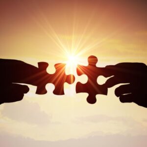 Partnership - AMDT