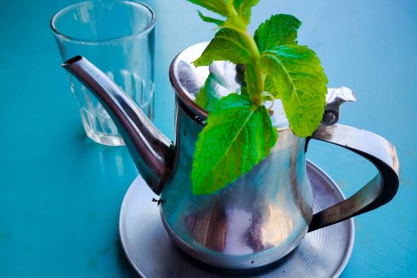 The Art of Moroccan Tea - AMDT